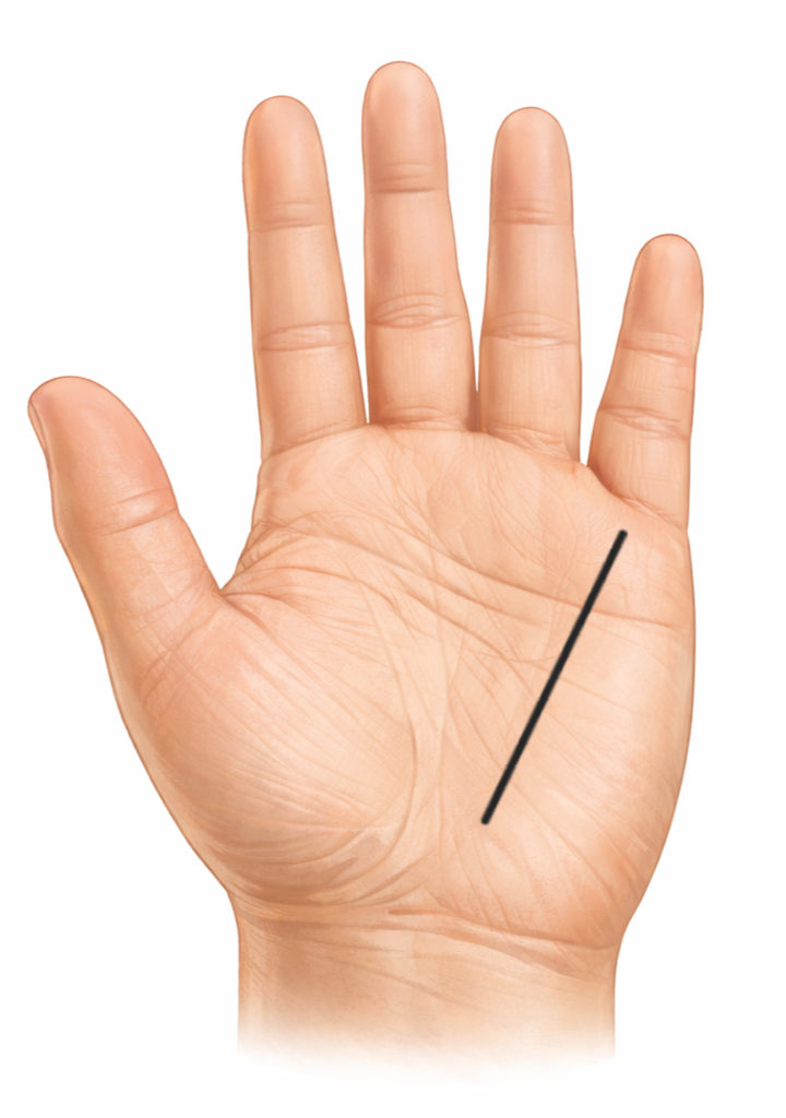 Health line in palmistry