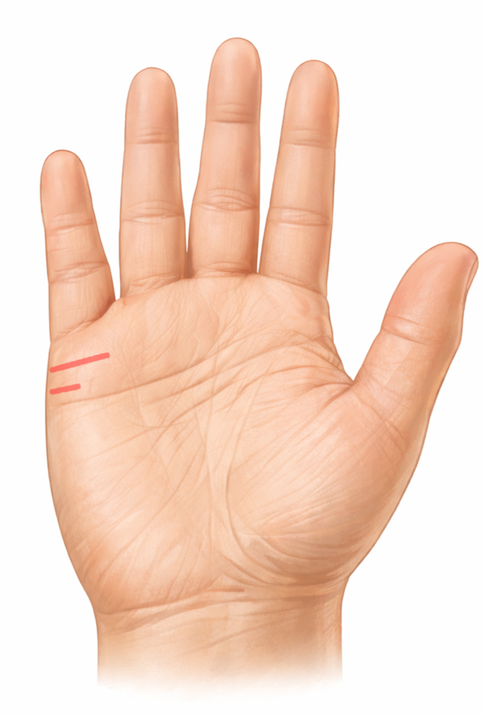 Marriage lines in palmistry